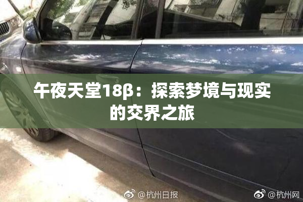 午夜天堂18β：探索梦境与现实的交界之旅
