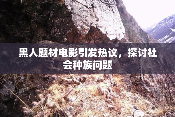 黑人题材电影引发热议，探讨社会种族问题