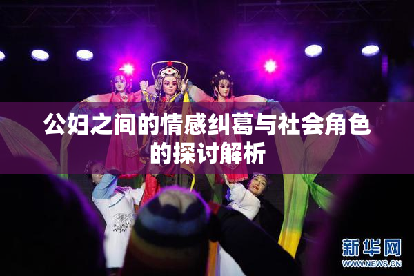 公妇之间的情感纠葛与社会角色的探讨解析