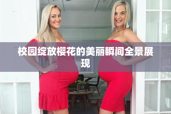 校园绽放樱花的美丽瞬间全景展现