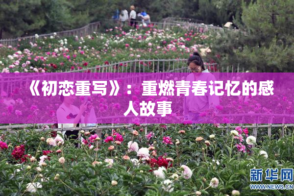 《初恋重写》：重燃青春记忆的感人故事