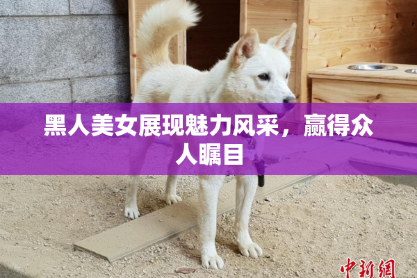 黑人美女展现魅力风采，赢得众人瞩目
