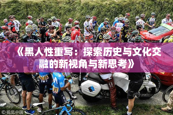 《黑人性重写：探索历史与文化交融的新视角与新思考》