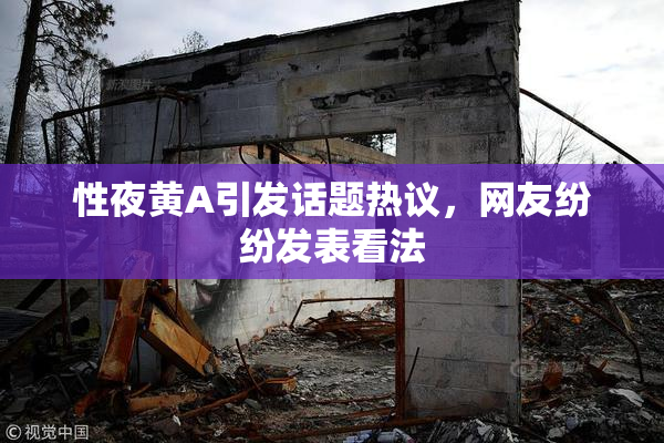 性夜黄A引发话题热议，网友纷纷发表看法