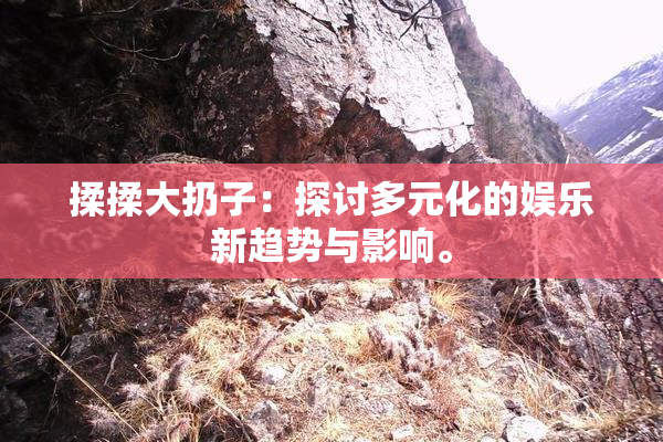 揉揉大扔子：探讨多元化的娱乐新趋势与影响。
