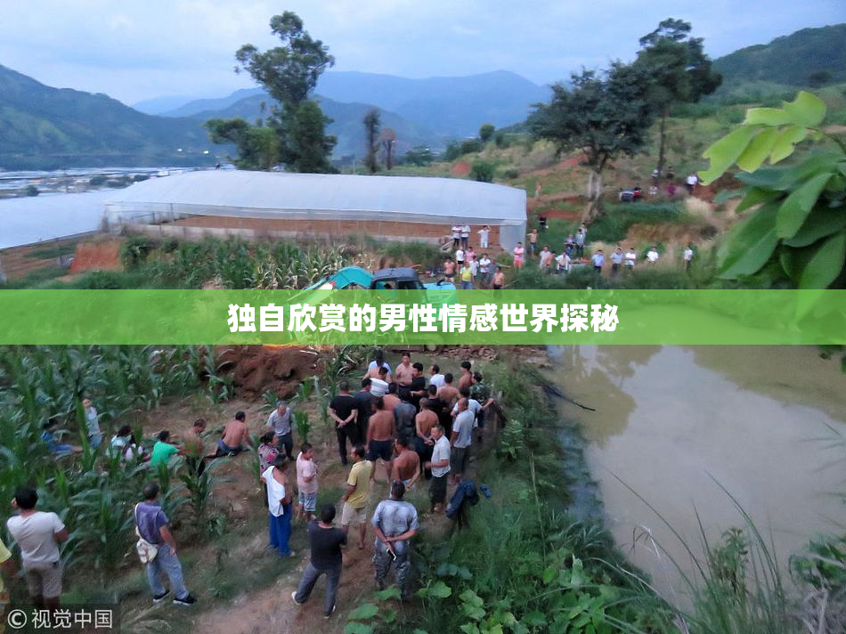 独自欣赏的男性情感世界探秘
