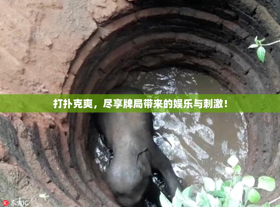打扑克爽，尽享牌局带来的娱乐与刺激！