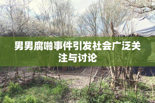 男男腐啪事件引发社会广泛关注与讨论