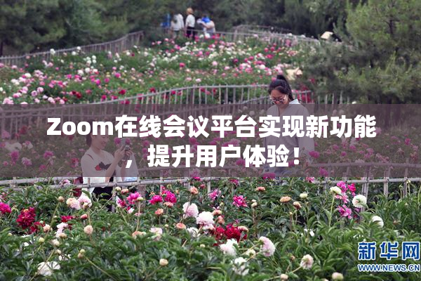 Zoom在线会议平台实现新功能，提升用户体验！