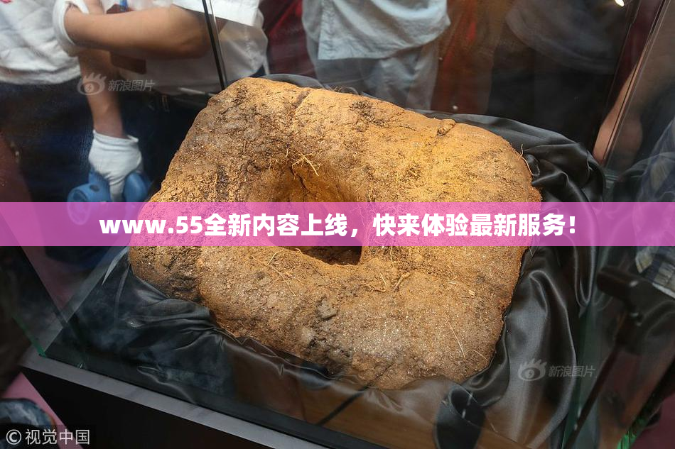 www.55全新内容上线，快来体验最新服务！