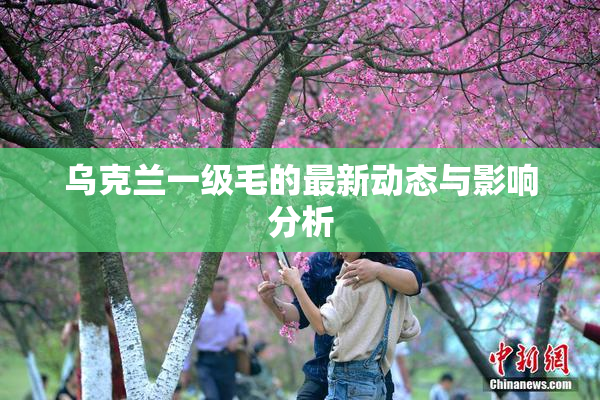乌克兰一级毛的最新动态与影响分析