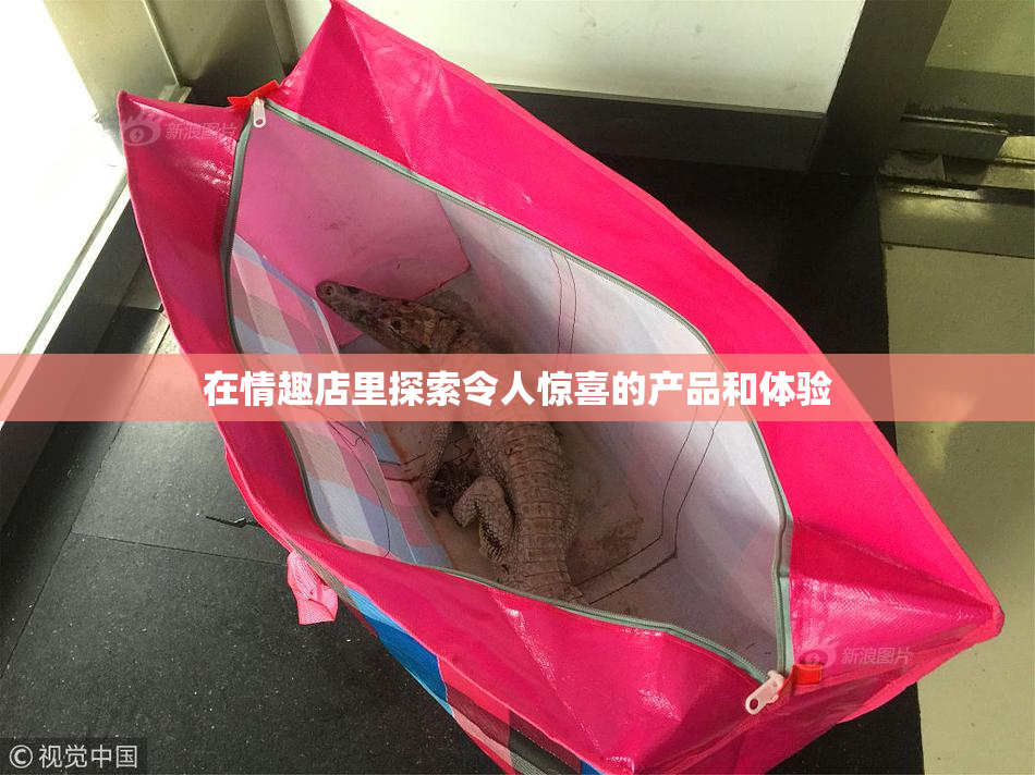 在情趣店里探索令人惊喜的产品和体验
