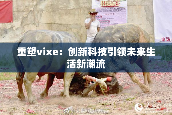 重塑vixe：创新科技引领未来生活新潮流