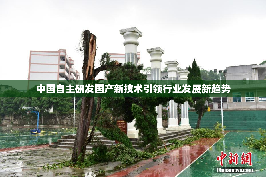 中国自主研发国产新技术引领行业发展新趋势