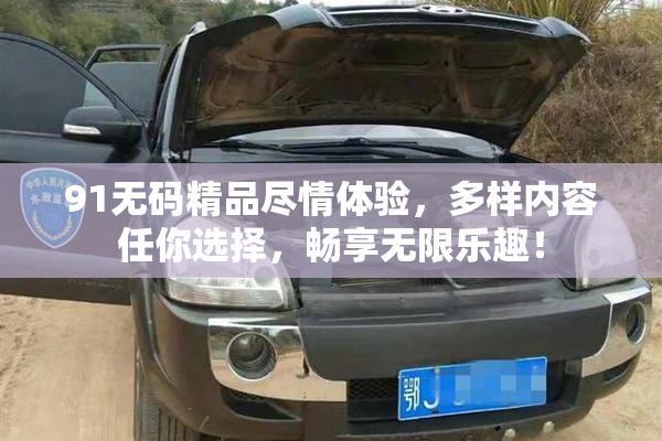 91无码精品尽情体验，多样内容任你选择，畅享无限乐趣！