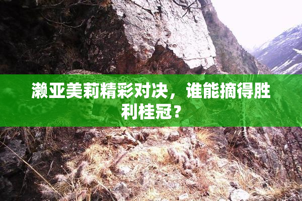 濑亚美莉精彩对决，谁能摘得胜利桂冠？