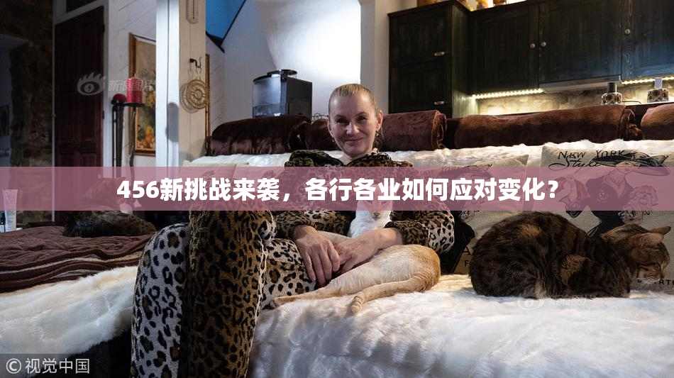 456新挑战来袭，各行各业如何应对变化？