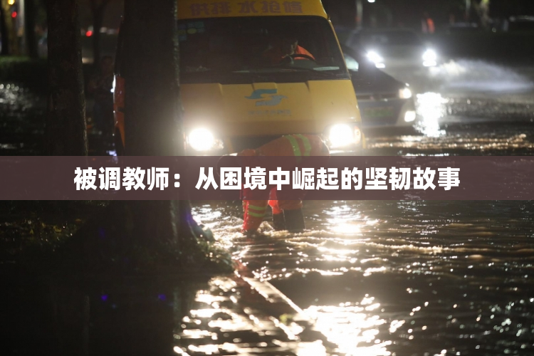 被调教师：从困境中崛起的坚韧故事