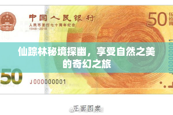 仙踪林秘境探幽，享受自然之美的奇幻之旅
