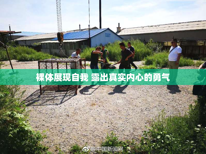 裸体展现自我 露出真实内心的勇气