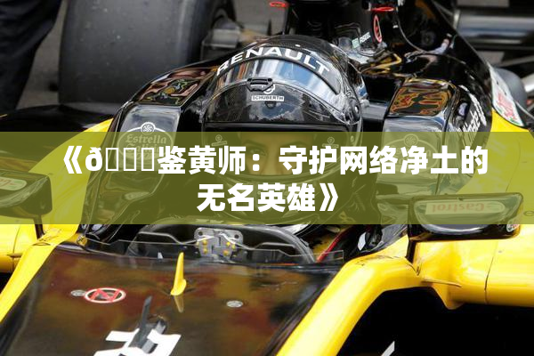 《🔞鉴黄师：守护网络净土的无名英雄》