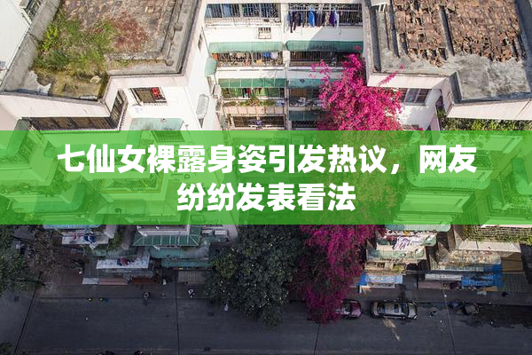 七仙女裸露身姿引发热议，网友纷纷发表看法