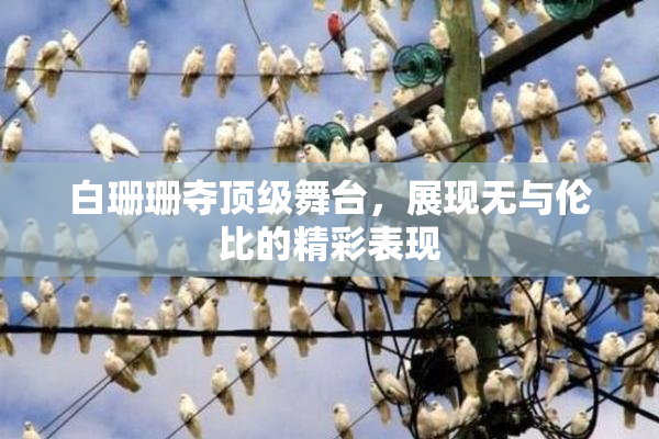 白珊珊夺顶级舞台，展现无与伦比的精彩表现