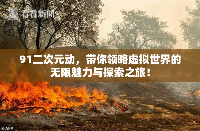 91二次元动，带你领略虚拟世界的无限魅力与探索之旅！