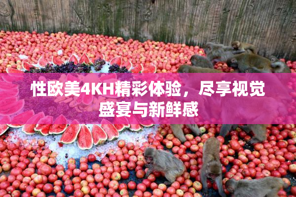 性欧美4KH精彩体验，尽享视觉盛宴与新鲜感