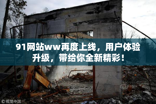 91网站ww再度上线，用户体验升级，带给你全新精彩！