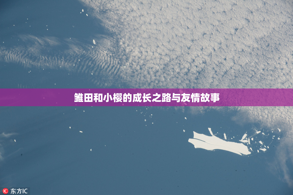 雏田和小樱的成长之路与友情故事