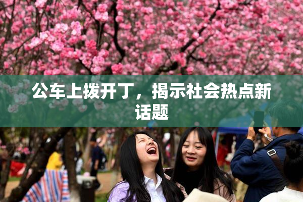 公车上拨开丁，揭示社会热点新话题