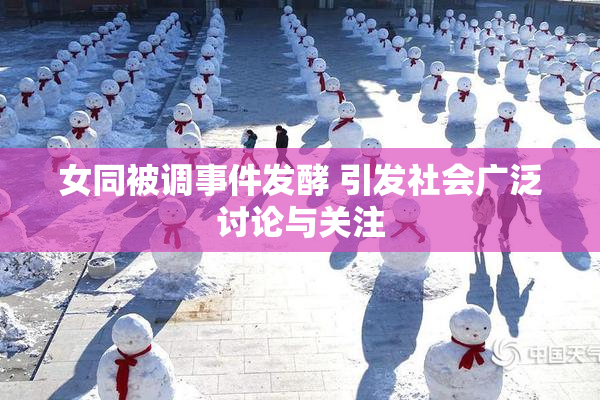 女同被调事件发酵 引发社会广泛讨论与关注