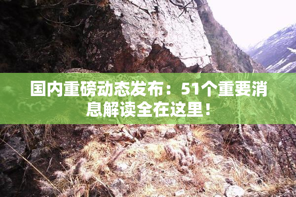 国内重磅动态发布：51个重要消息解读全在这里！
