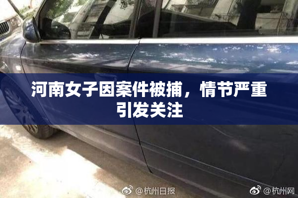 河南女子因案件被捕，情节严重引发关注