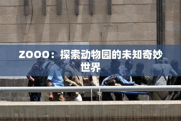 ZOOO：探索动物园的未知奇妙世界