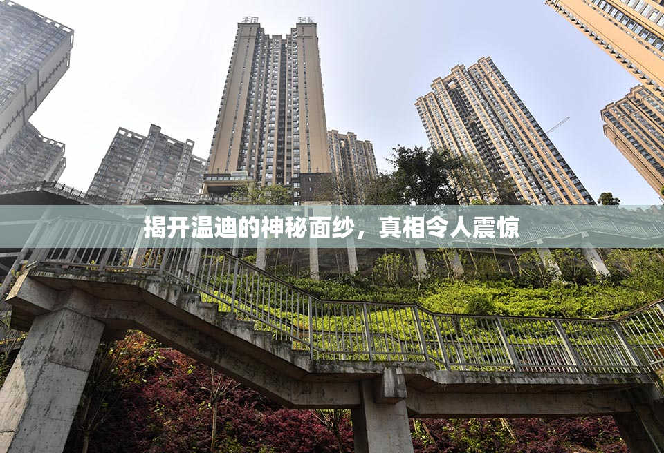 揭开温迪的神秘面纱，真相令人震惊