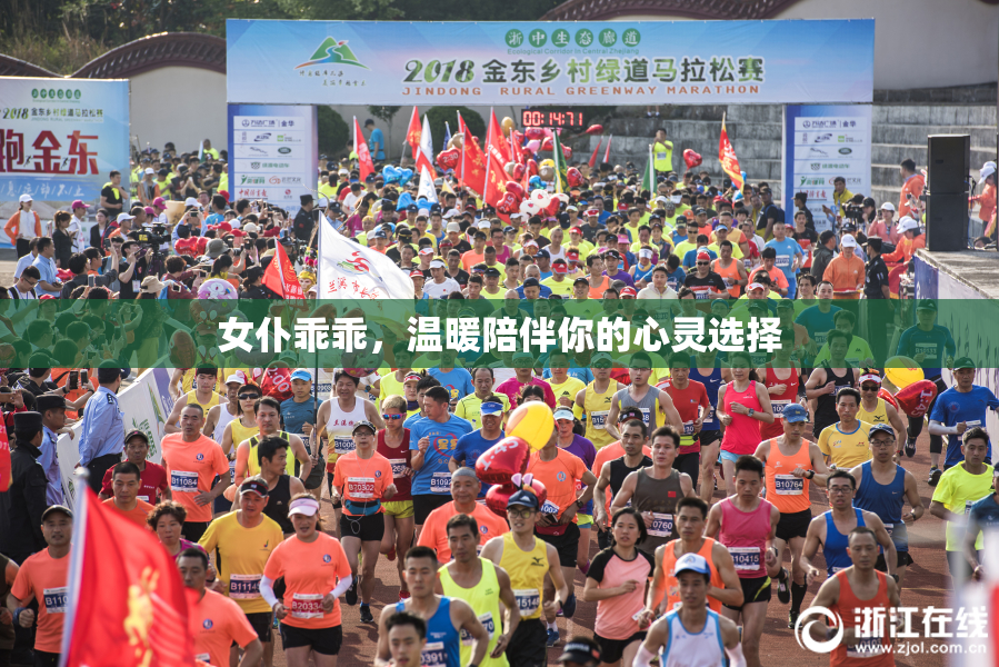 女仆乖乖，温暖陪伴你的心灵选择