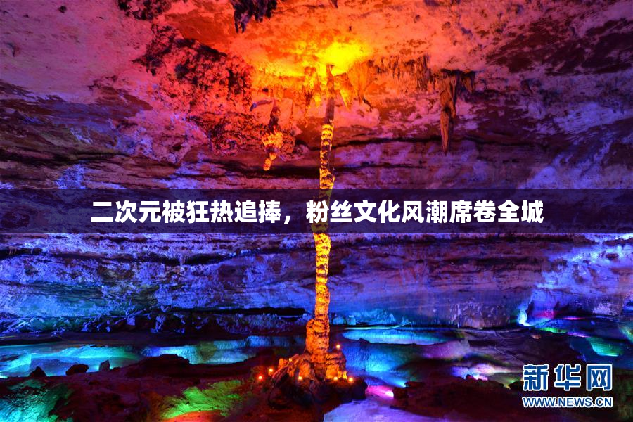 二次元被狂热追捧，粉丝文化风潮席卷全城