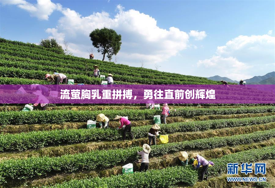 流萤胸乳重拼搏，勇往直前创辉煌