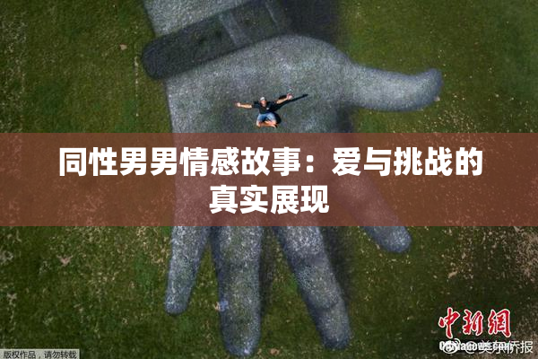 同性男男情感故事：爱与挑战的真实展现