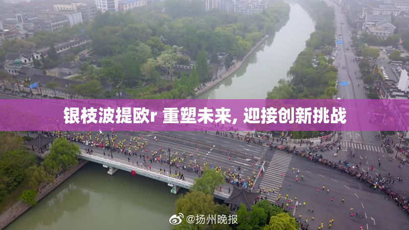 银枝波提欧r 重塑未来, 迎接创新挑战