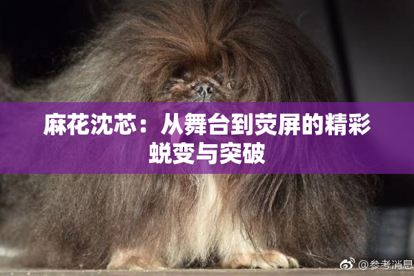 麻花沈芯：从舞台到荧屏的精彩蜕变与突破