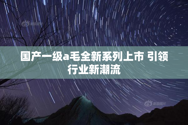 国产一级a毛全新系列上市 引领行业新潮流