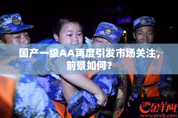 国产一级AA再度引发市场关注，前景如何？