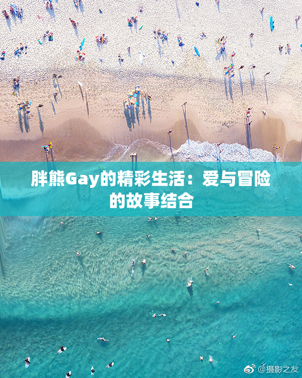 胖熊Gay的精彩生活：爱与冒险的故事结合