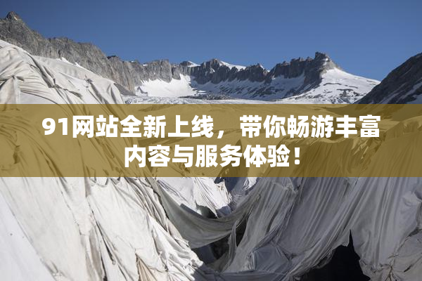 91网站全新上线，带你畅游丰富内容与服务体验！