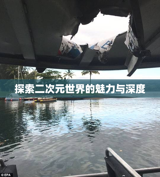探索二次元世界的魅力与深度