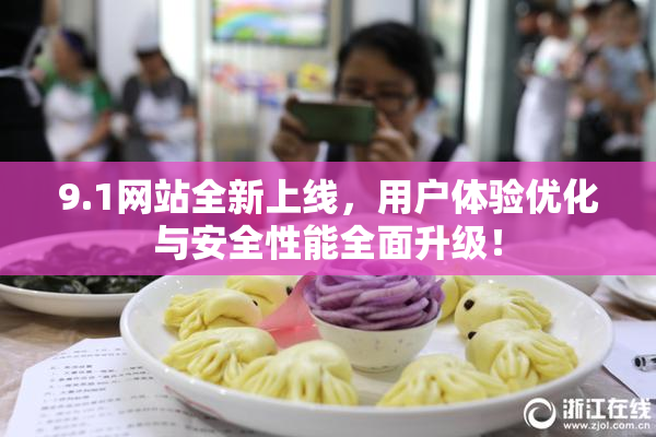 9.1网站全新上线，用户体验优化与安全性能全面升级！