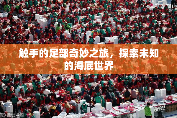 触手的足部奇妙之旅，探索未知的海底世界